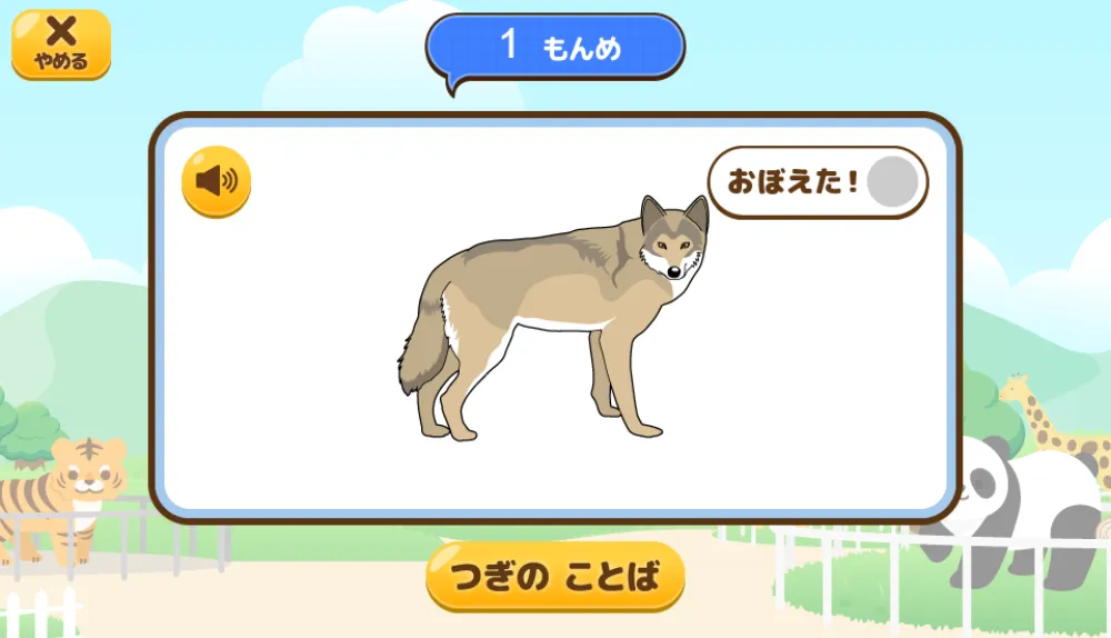 フラッシュカード：生き物