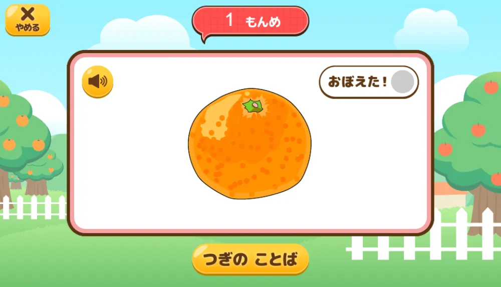 フラッシュカード：果物